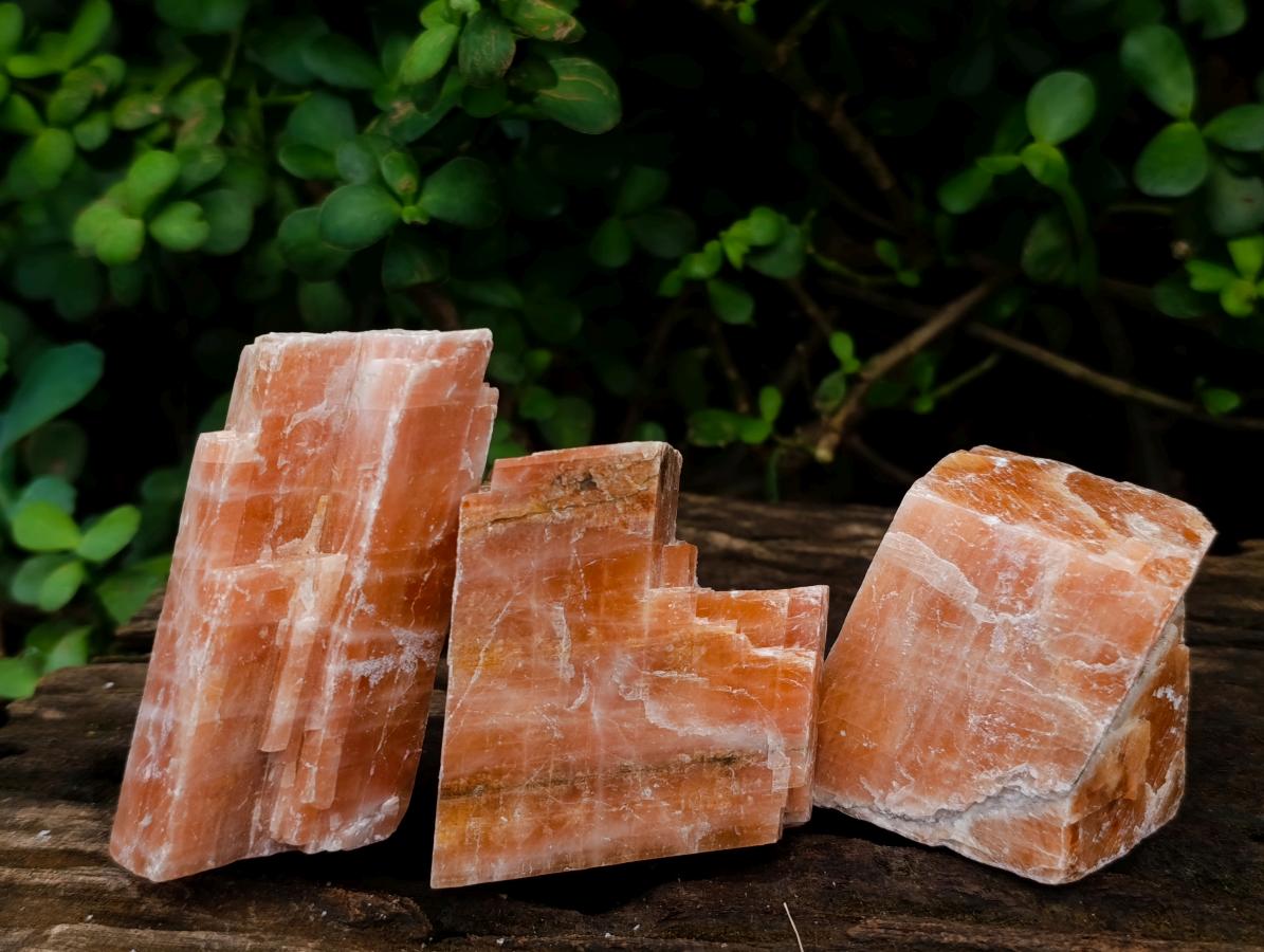 Natural Rhombohedral Sunset Orange Calcite Specimens x 12 From Spitzkop, Namibia - Toprock Gemstones and Minerals 