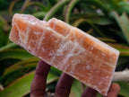 Natural Rhombohedral Sunset Orange Calcite Specimens x 12 From Spitzkop, Namibia - Toprock Gemstones and Minerals 