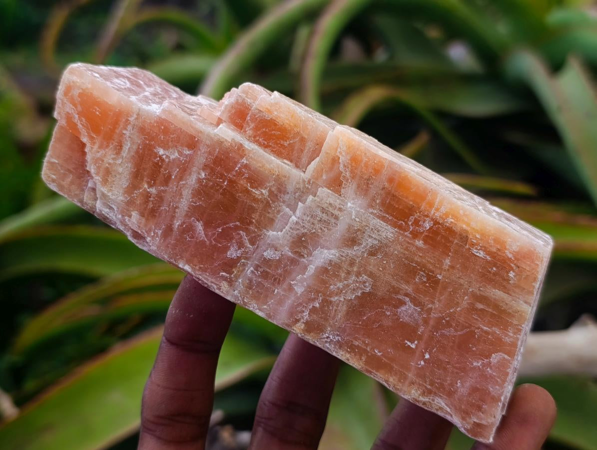 Natural Rhombohedral Sunset Orange Calcite Specimens x 12 From Spitzkop, Namibia - Toprock Gemstones and Minerals 