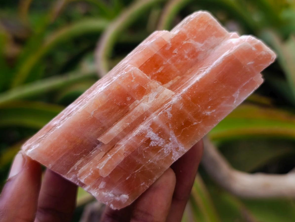 Natural Rhombohedral Sunset Orange Calcite Specimens x 12 From Spitzkop, Namibia - Toprock Gemstones and Minerals 