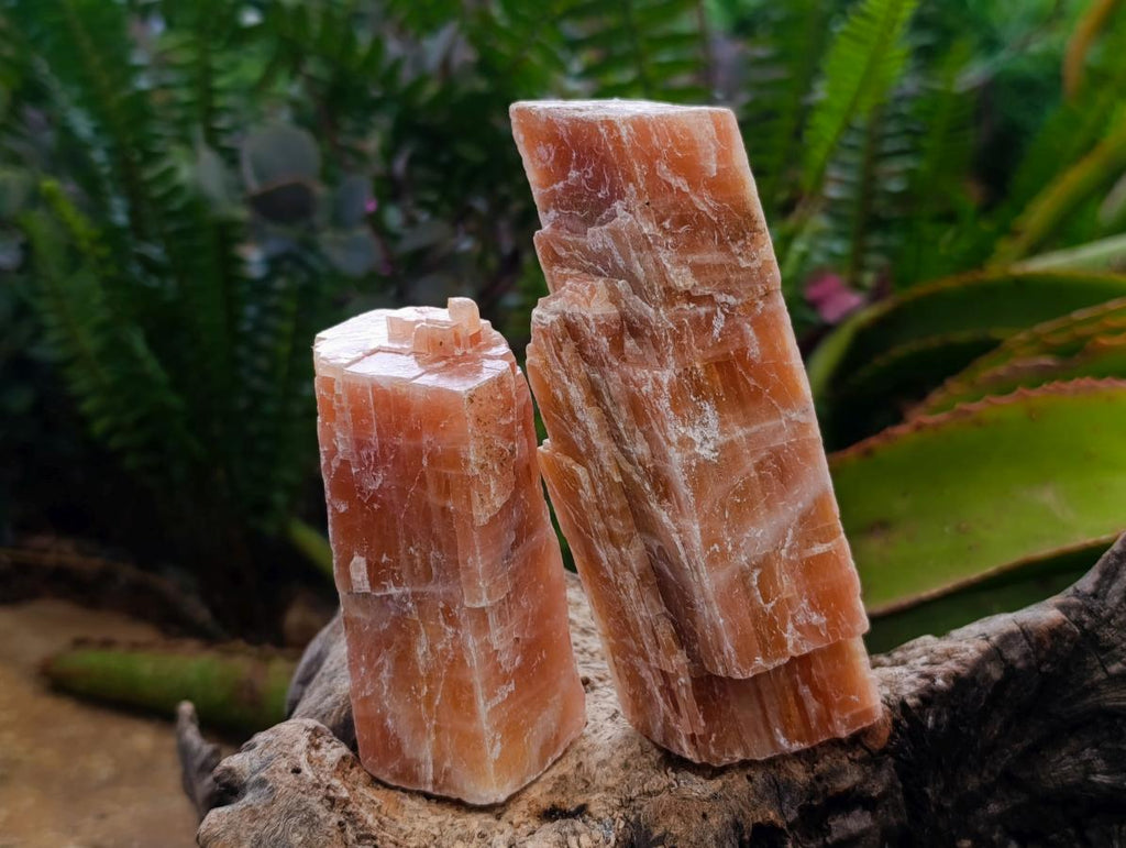 Natural Rhombohedral Sunset Orange Calcite Specimens x 12 From Spitzkop, Namibia - Toprock Gemstones and Minerals 