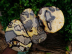 Polished Septerye Slices x 6 From Mahajanga, Madagascar - Toprock Gemstones and Minerals 