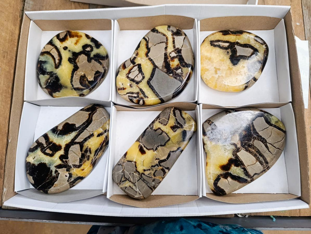 Polished Septerye Slices x 6 From Mahajanga, Madagascar - Toprock Gemstones and Minerals 