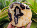 Polished Septerye Slices x 6 From Mahajanga, Madagascar - Toprock Gemstones and Minerals 