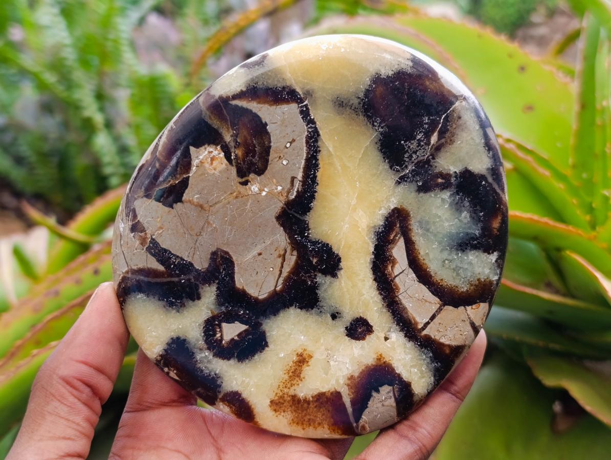 Polished Septerye Slices x 6 From Mahajanga, Madagascar - Toprock Gemstones and Minerals 