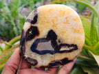 Polished Septerye Slices x 6 From Mahajanga, Madagascar - Toprock Gemstones and Minerals 