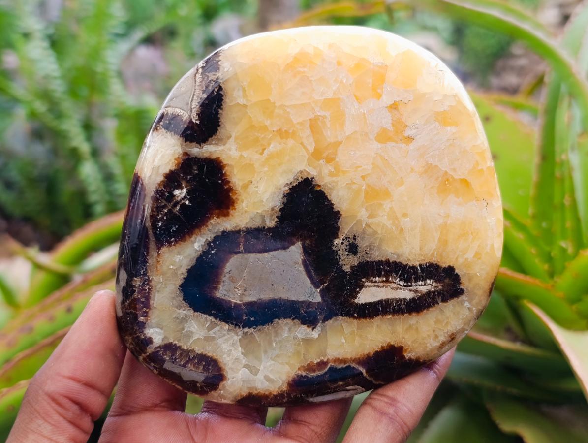 Polished Septerye Slices x 6 From Mahajanga, Madagascar - Toprock Gemstones and Minerals 