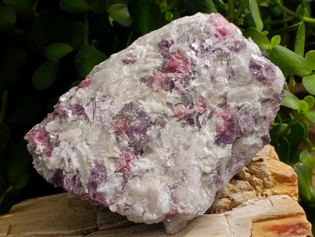 Natural Pink Rubellite Tourmaline Specimens x 3 From Karibib, Namibia - Toprock Gemstones and Minerals 