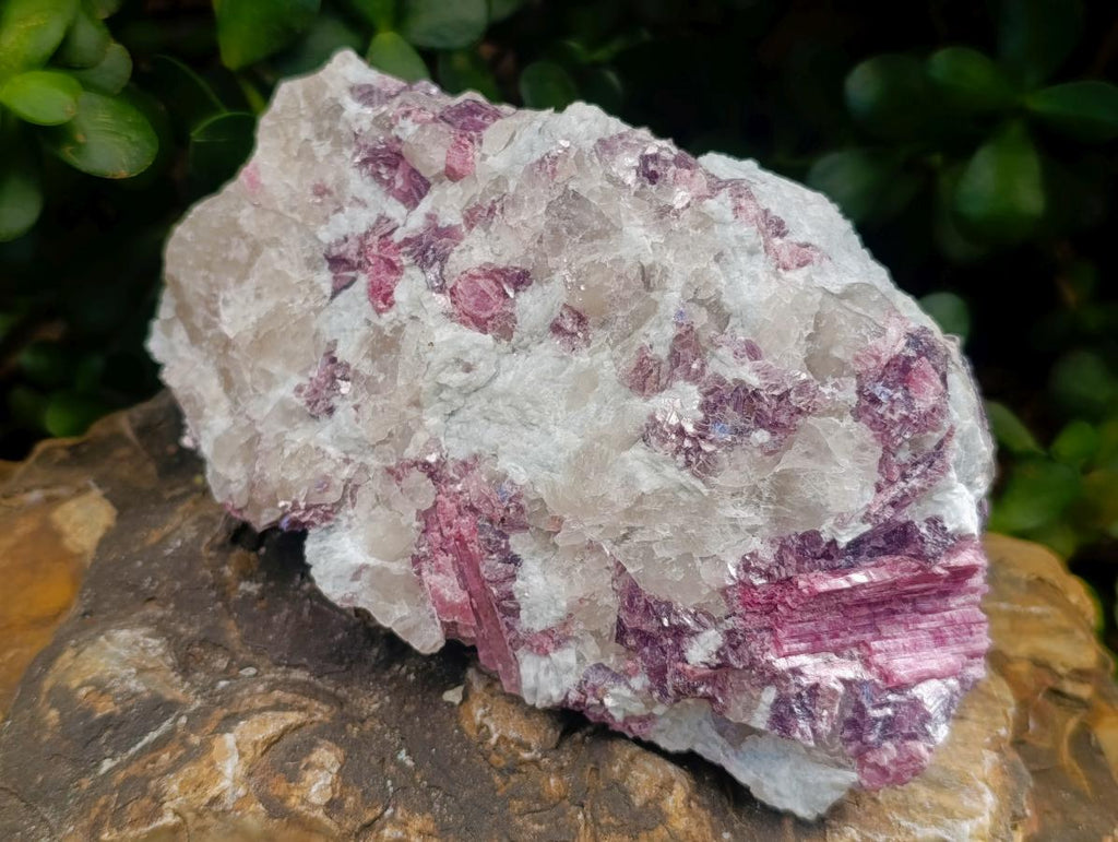 Natural Pink Rubellite Tourmaline Specimens x 3 From Karibib, Namibia - Toprock Gemstones and Minerals 