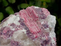 Natural Pink Rubellite Tourmaline Specimens x 3 From Karibib, Namibia - Toprock Gemstones and Minerals 