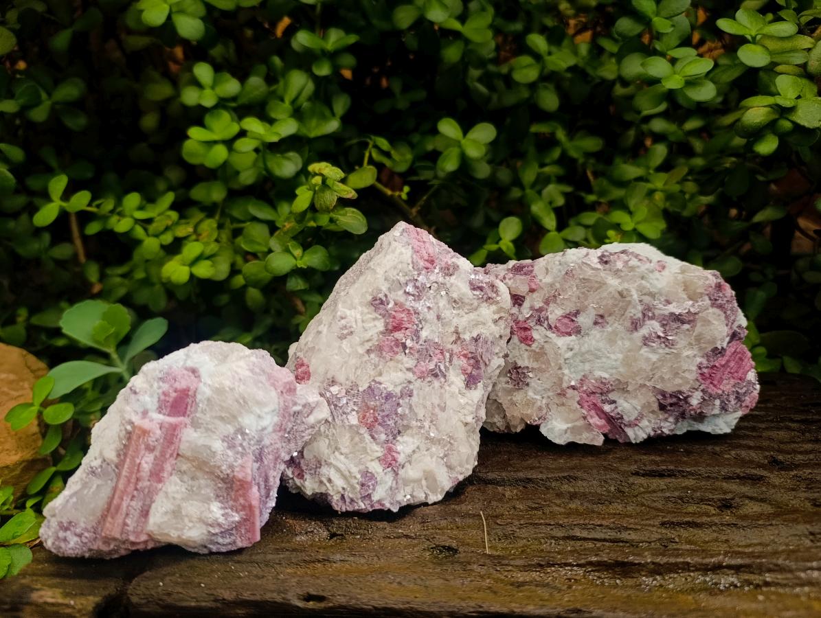Natural Pink Rubellite Tourmaline Specimens x 3 From Karibib, Namibia - Toprock Gemstones and Minerals 