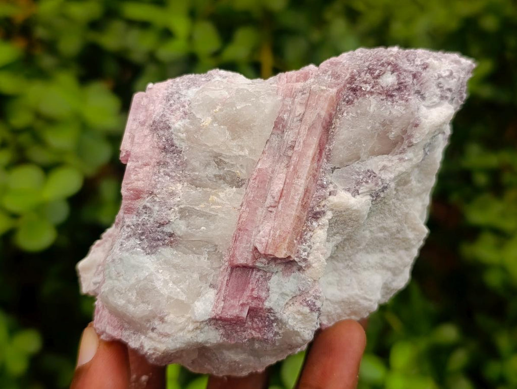 Natural Pink Rubellite Tourmaline Specimens x 3 From Karibib, Namibia - Toprock Gemstones and Minerals 