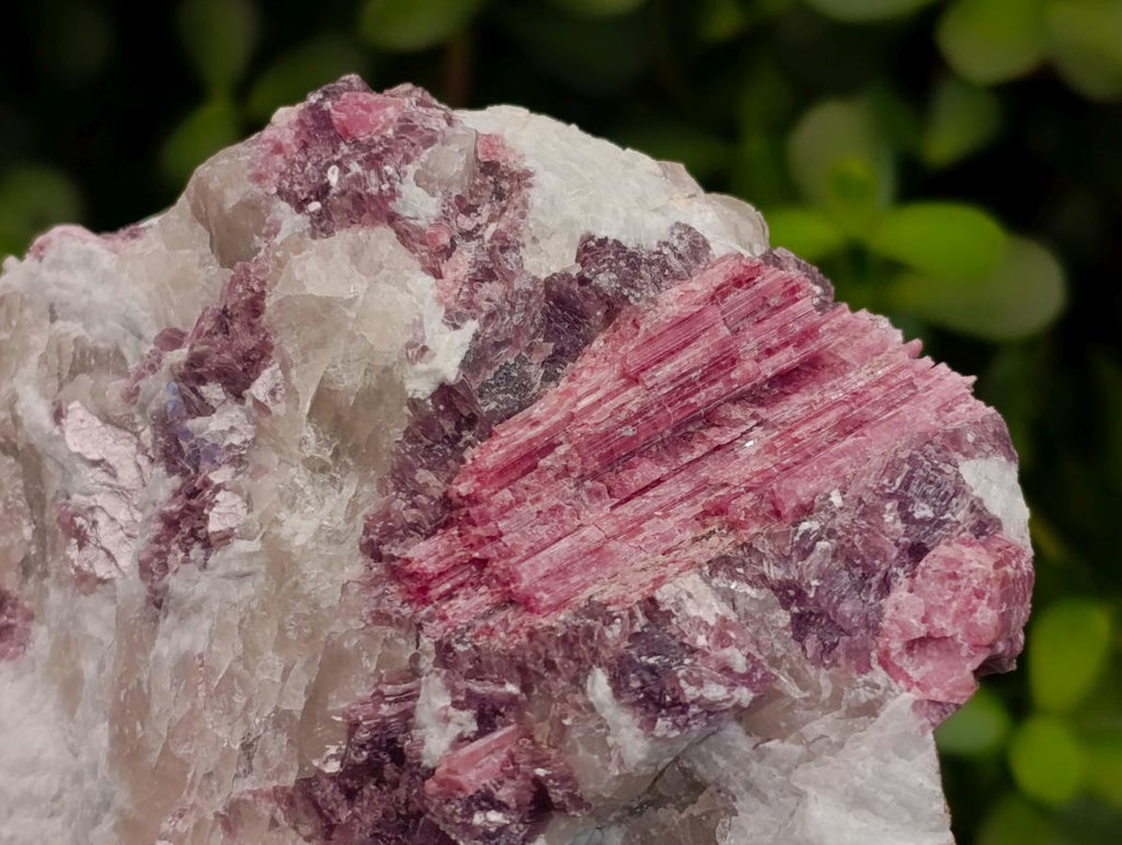 Natural Pink Rubellite Tourmaline Specimens x 3 From Karibib, Namibia - Toprock Gemstones and Minerals 