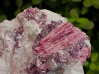 Natural Pink Rubellite Tourmaline Specimens x 3 From Karibib, Namibia - Toprock Gemstones and Minerals 