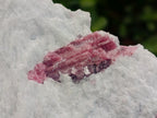 Natural Pink Rubellite Tourmaline Specimens x 3 From Karibib, Namibia - Toprock Gemstones and Minerals 