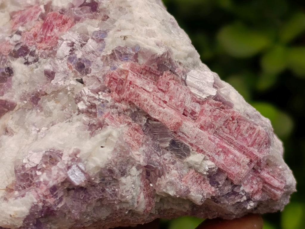 Natural Pink Rubellite Tourmaline Specimens x 3 From Karibib, Namibia - Toprock Gemstones and Minerals 
