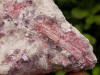 Natural Pink Rubellite Tourmaline Specimens x 3 From Karibib, Namibia - Toprock Gemstones and Minerals 