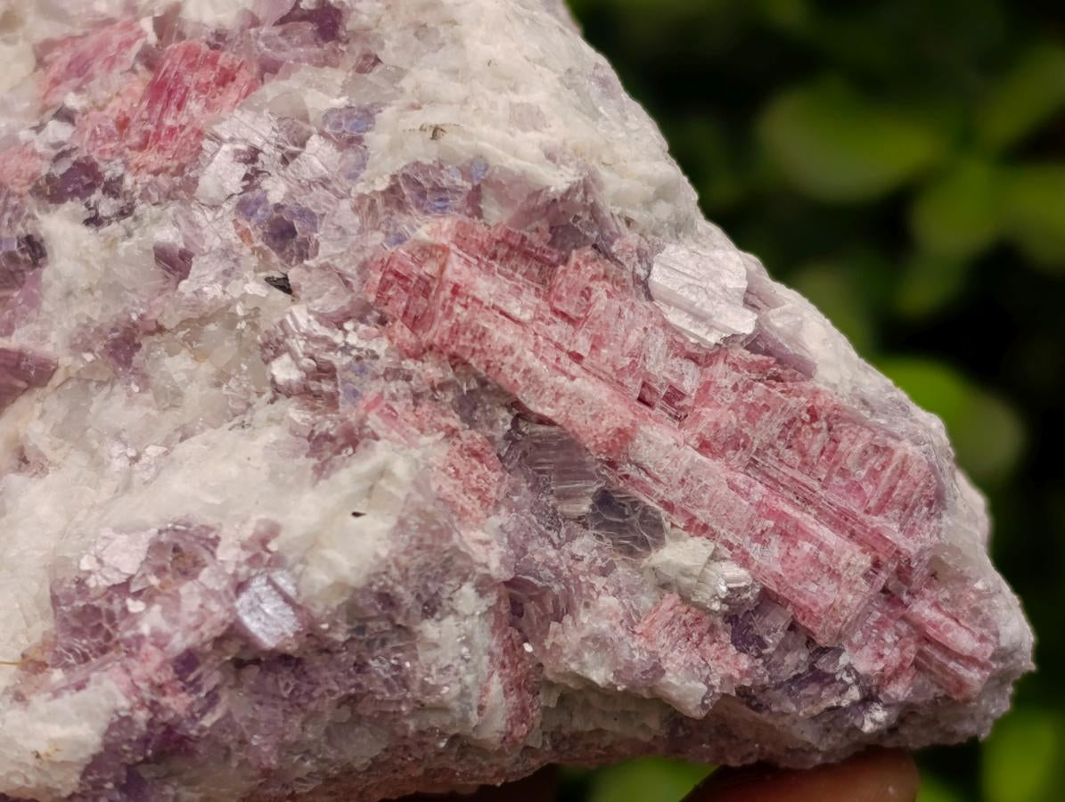 Natural Pink Rubellite Tourmaline Specimens x 3 From Karibib, Namibia - Toprock Gemstones and Minerals 