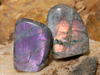 Polished Rare Purple Sunset Flash Labradorite Standing Display Pieces x 12 From Madagascar - Toprock Gemstones and Minerals 