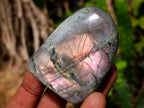 Polished Rare Purple Sunset Flash Labradorite Standing Display Pieces x 12 From Madagascar - Toprock Gemstones and Minerals 