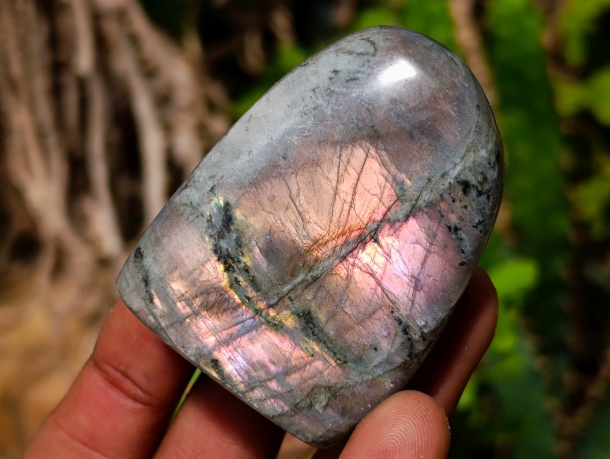 Polished Rare Purple Sunset Flash Labradorite Standing Display Pieces x 12 From Madagascar - Toprock Gemstones and Minerals 