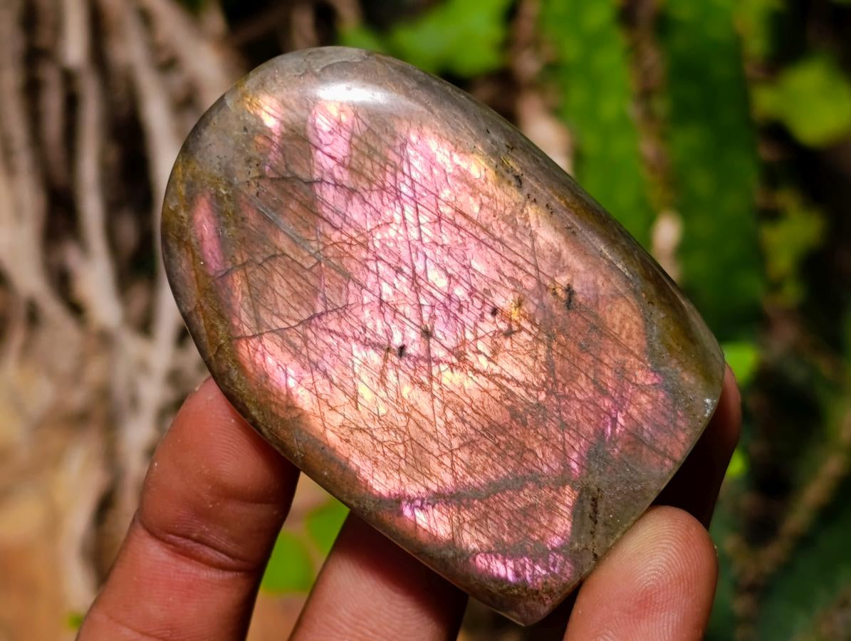 Polished Rare Purple Sunset Flash Labradorite Standing Display Pieces x 12 From Madagascar - Toprock Gemstones and Minerals 