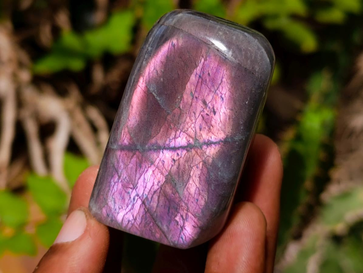 Polished Rare Purple Sunset Flash Labradorite Standing Display Pieces x 12 From Madagascar - Toprock Gemstones and Minerals 