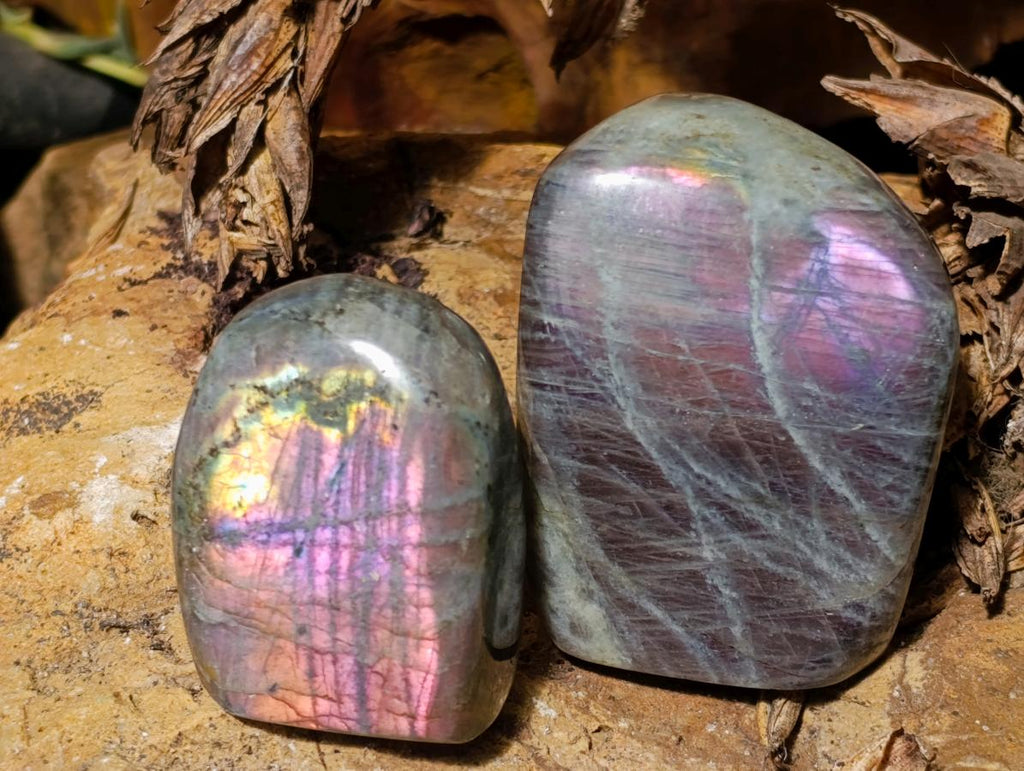 Polished Rare Purple Sunset Flash Labradorite Standing Display Pieces x 12 From Madagascar - Toprock Gemstones and Minerals 