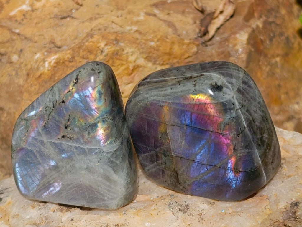Polished Rare Purple Sunset Flash Labradorite Standing Display Pieces x 12 From Madagascar - Toprock Gemstones and Minerals 