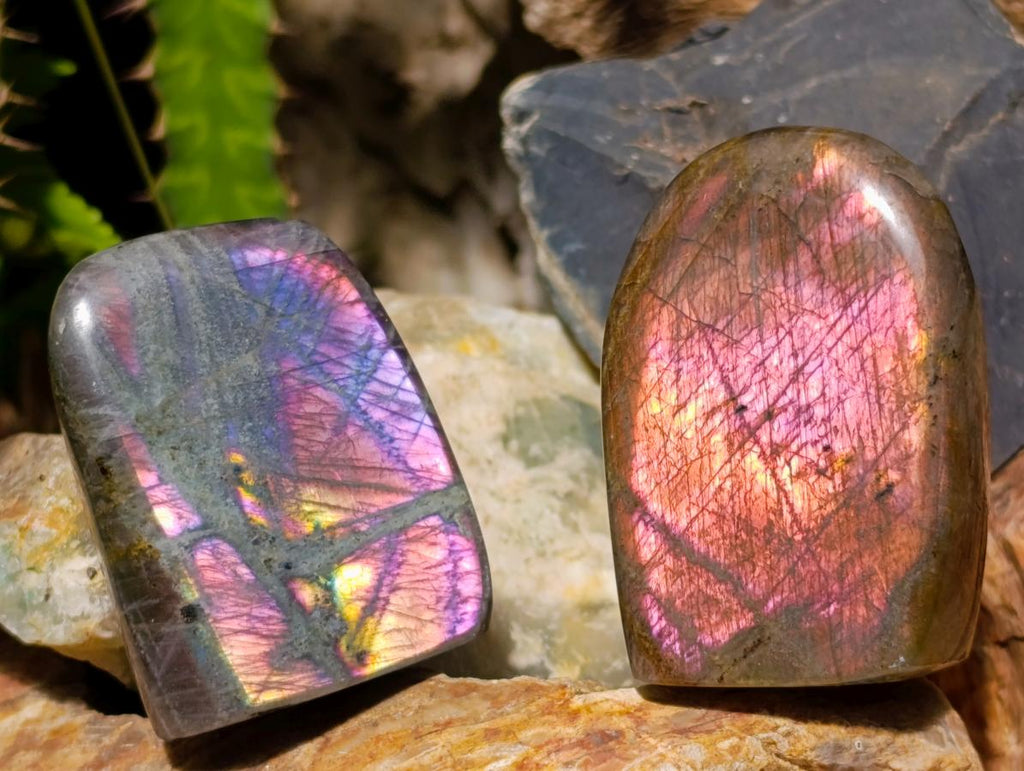 Polished Rare Purple Sunset Flash Labradorite Standing Display Pieces x 12 From Madagascar - Toprock Gemstones and Minerals 