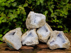 Natural Blue Lace Agate Geode Specimens x 12 From Nsanje, Malawi - Toprock Gemstones and Minerals 