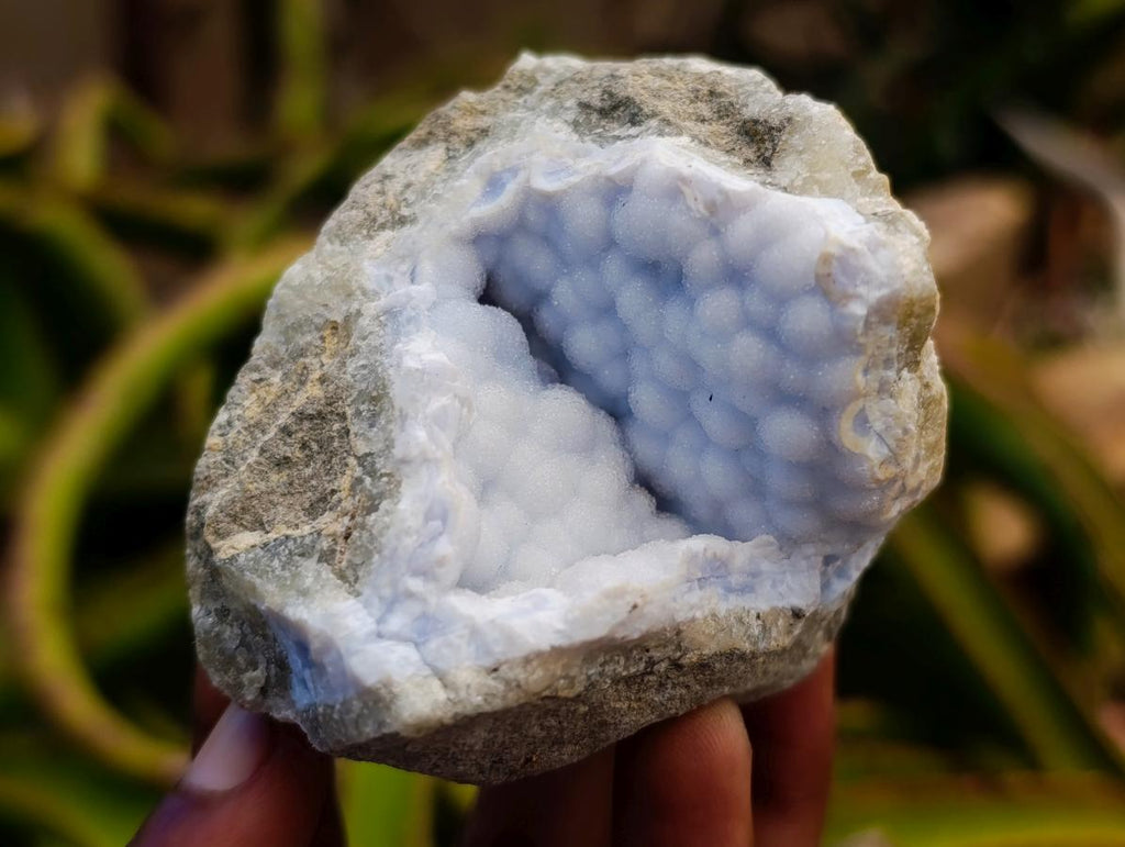 Natural Blue Lace Agate Geode Specimens x 12 From Nsanje, Malawi - Toprock Gemstones and Minerals 