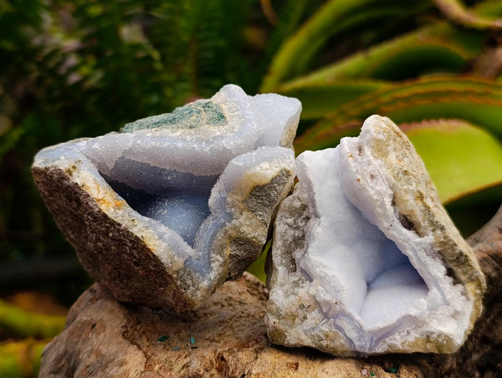 Natural Blue Lace Agate Geode Specimens x 12 From Nsanje, Malawi - Toprock Gemstones and Minerals 