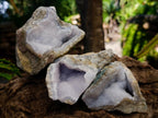 Natural Blue Lace Agate Geode Specimens x 12 From Nsanje, Malawi - Toprock Gemstones and Minerals 