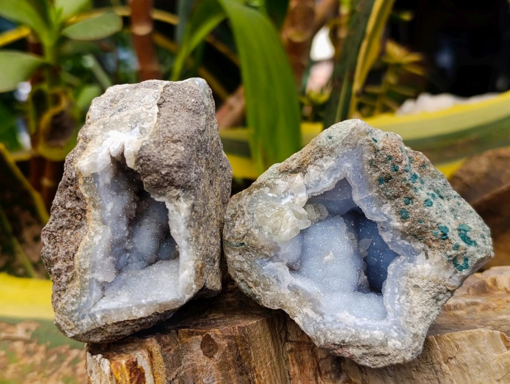 Natural Blue Lace Agate Geode Specimens x 12 From Nsanje, Malawi - Toprock Gemstones and Minerals 
