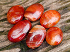 Polished Carnelian Agate Gemstone Galets x 35 From Madagascar - Toprock Gemstones and Minerals 