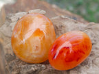 Polished Carnelian Agate Gemstone Galets x 35 From Madagascar - Toprock Gemstones and Minerals 