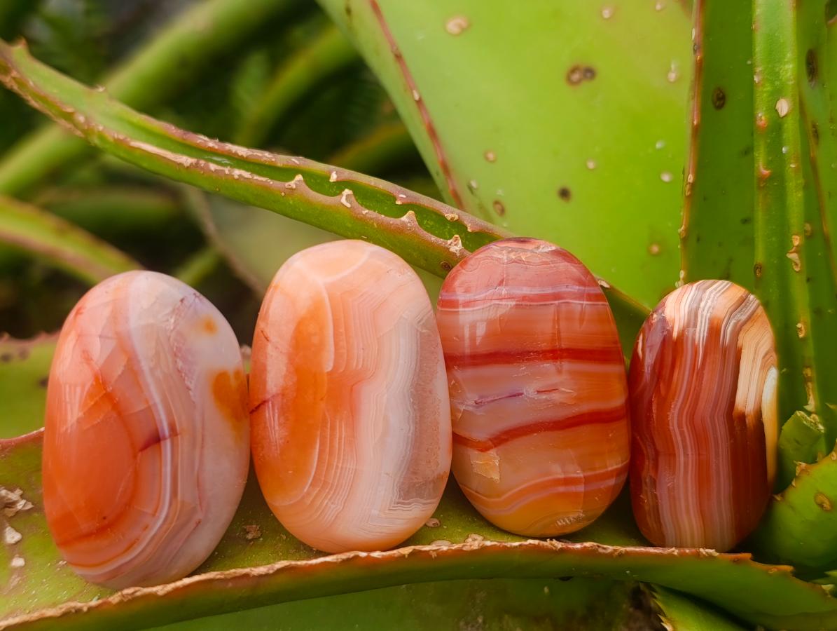 Polished Carnelian Agate Gemstone Galets x 35 From Madagascar - Toprock Gemstones and Minerals 
