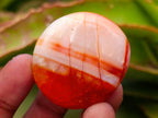 Polished Carnelian Agate Gemstone Galets x 35 From Madagascar - Toprock Gemstones and Minerals 