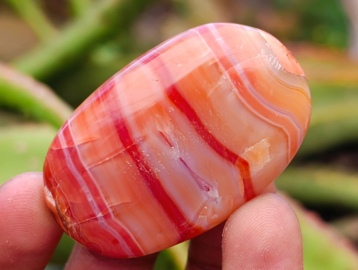 Polished Carnelian Agate Gemstone Galets x 35 From Madagascar - Toprock Gemstones and Minerals 