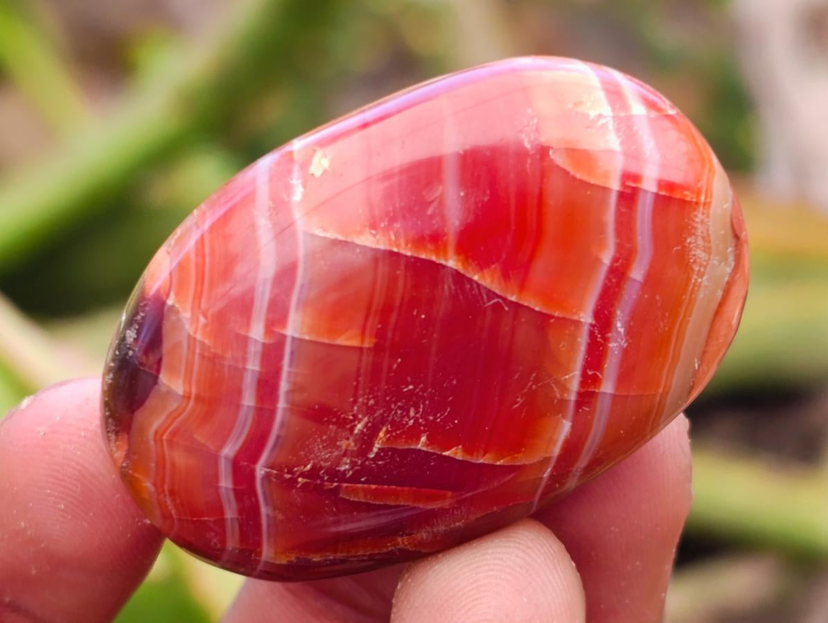 Polished Carnelian Agate Gemstone Galets x 35 From Madagascar - Toprock Gemstones and Minerals 