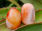 Polished Carnelian Agate Gemstone Galets x 35 From Madagascar - Toprock Gemstones and Minerals 