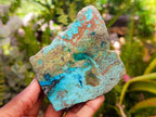 Polished One Side Shattuckite Free Forms x 12 From Kaokoveld, Namibia - Toprock Gemstones and Minerals 