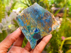 Polished One Side Shattuckite Free Forms x 12 From Kaokoveld, Namibia - Toprock Gemstones and Minerals 