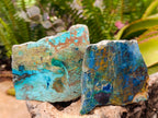 Polished One Side Shattuckite Free Forms x 12 From Kaokoveld, Namibia - Toprock Gemstones and Minerals 