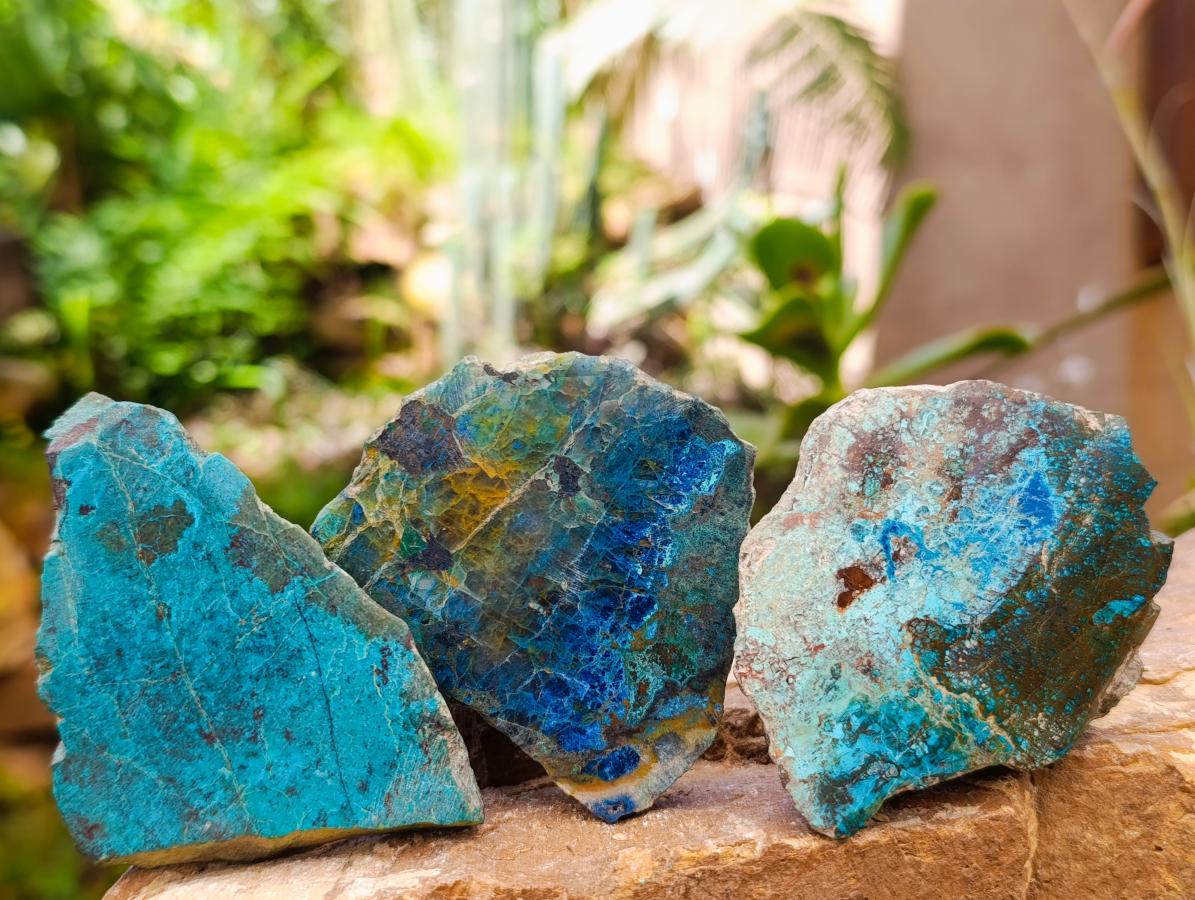 Polished One Side Shattuckite Free Forms x 12 From Kaokoveld, Namibia - Toprock Gemstones and Minerals 