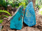 Polished One Side Shattuckite Free Forms x 12 From Kaokoveld, Namibia - Toprock Gemstones and Minerals 