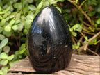 Polished Black Tourmaline Standing Display Pieces x 2 From Madagascar - Toprock Gemstones and Minerals 