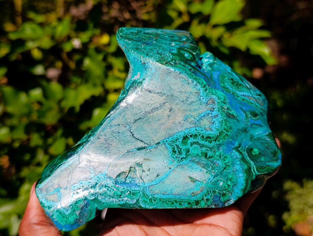 Polished Flower Banded Malachite Free Forms x 2 From Congo - Toprock Gemstones and Minerals 