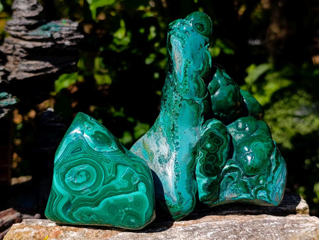 Polished Flower Banded Malachite Free Forms x 2 From Congo - Toprock Gemstones and Minerals 